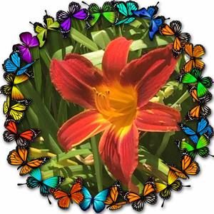 Meet your Posher, Penny